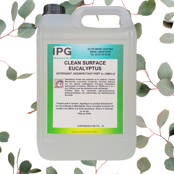 CLEAN SURFACE EUCALYPTUS 5L